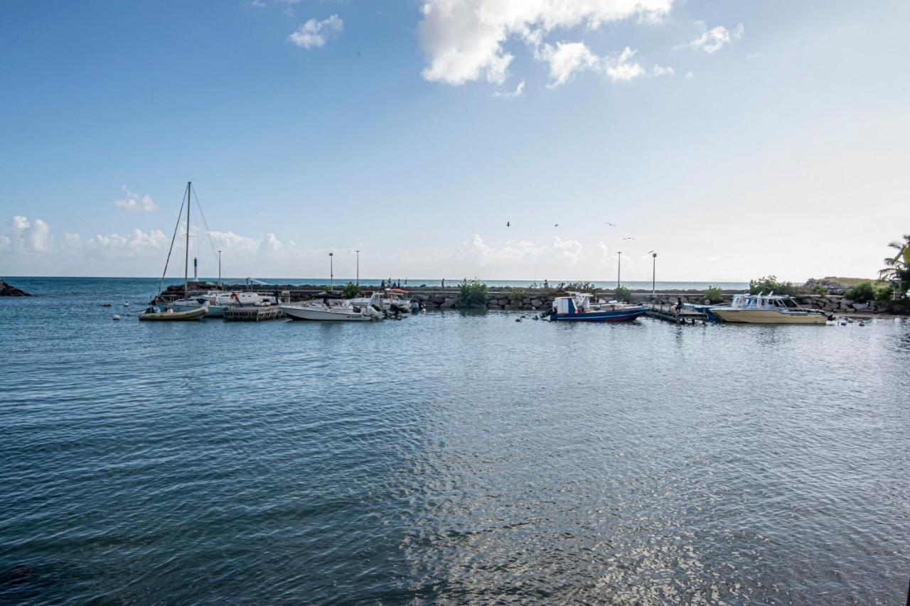 Superbe Studio A La Baie Des Pelicans เลอโกซิเยร์ ภายนอก รูปภาพ